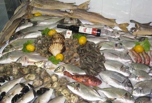 Montefish doo Tivat sveža riba, morski plodovi, školjke